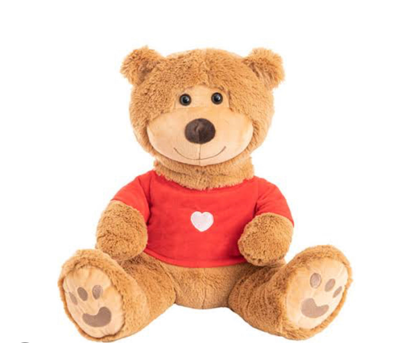 Brown teddy with red shirt
